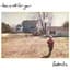 foxtails