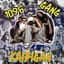 1096 Gang