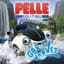 Pelle Politibil