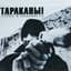 Тараканы!