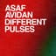 Asaf Avidan