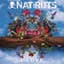 Natiruts