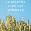 Remi Archambault