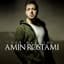 Amin Rostami