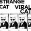 Viral Cat