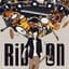 RIB