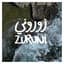 Alaa Wardi