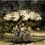 Man with a Mission