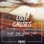 Lost Causes