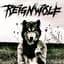 Reignwolf