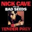 Nick Cave & The Bad Seeds