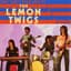 The Lemon Twigs