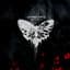 SayWeCanFly