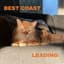 Best Coast