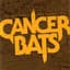 Cancer Bats