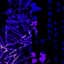 Glitchtrode