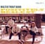 Walter Trout band