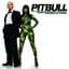 Pitbull