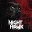 Nighthawk