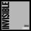 Invisible
