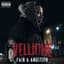 Vellione