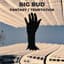 Big Bud