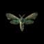 Imminence