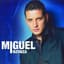 Miguel Inzunza