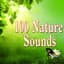 Nature Sounds