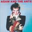 Adam and the Ants