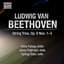 Ludwig van Beethoven