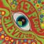 13th Floor Elevators