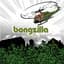 Bongzilla