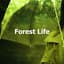 Deep Forest