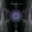 Hypnagog