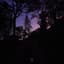 Colours In The Dark