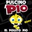 Pulcino Pio