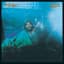 Kenny Loggins