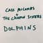 Cass McCombs
