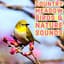 Natural Sound Makers