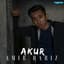 Amir Hariz