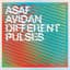 Asaf Avidan