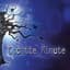 Cocotte Minute