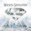 Wicked Sensation