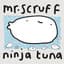 Mr. Scruff