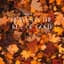 Amber Notes