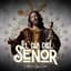 Banda de Música de Dos Hermanas "Santa Ana"
