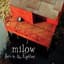 Milow