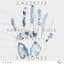 CAZZETTE