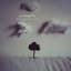 Winterpills